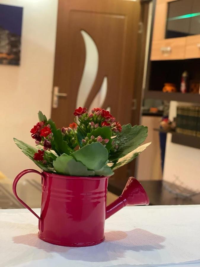 Bucuresti Comfort Apartment المظهر الخارجي الصورة